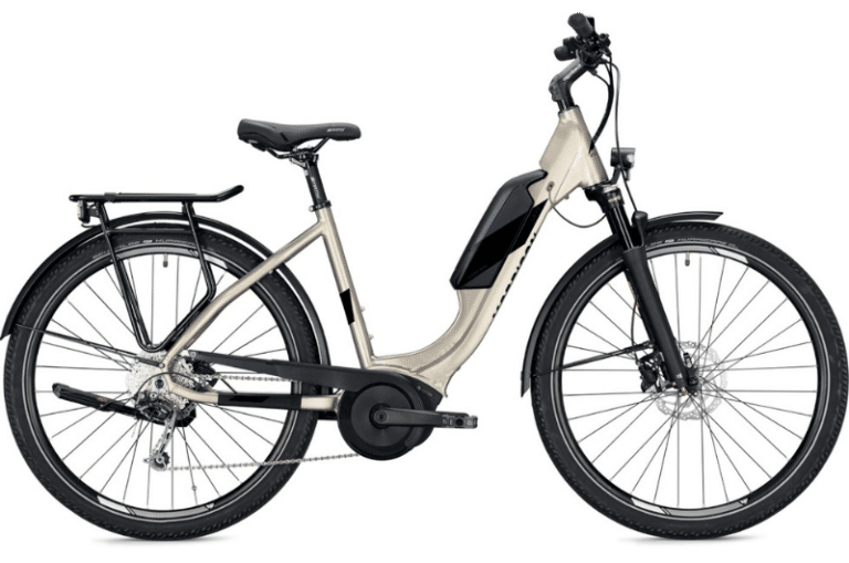 Morrison Sub 2.0 545 E-Bike Angebot bei e-bike fabrik Ettlingen