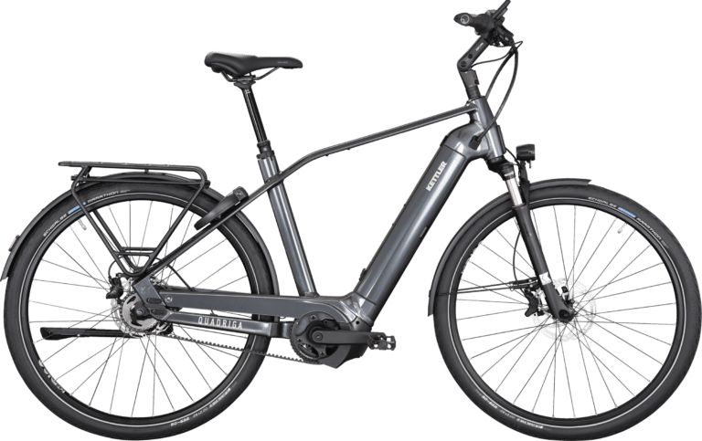 Kettler QUADRIGA CX5 HD BENELUX E-Bike Angebot bei e-bike fabrik Ettlingen