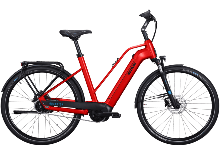 Kettler Quadriga P5 RT E-Bike Angebot bei e-bike fabrik Ettlingen