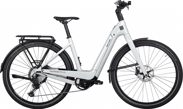 Kettler Quadrano Pro 12 LTD E-Bike Angebot bei e-bike fabrik Ettlingen